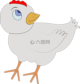 家禽,鳥,雞