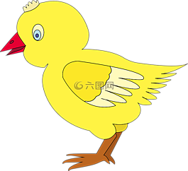 雞,家禽,鳥