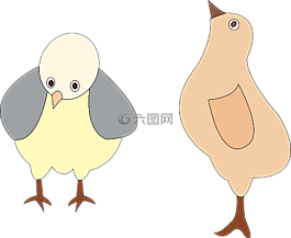 家禽,雞,鳥(niǎo)