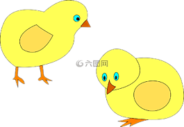 家禽,雞,鳥