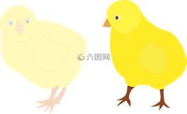 雞,家禽,鳥