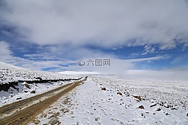 景觀,雪,冬季