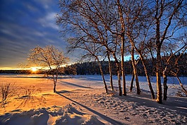 日落,冬天,雪