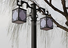 路燈,柳條,枯樹