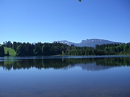 池塘,冷杉,山