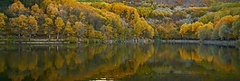 秋,季節(jié),景觀