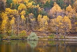 秋,季節(jié),景觀