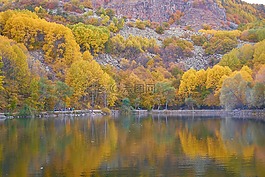 秋,季節(jié),景觀