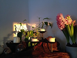 風(fēng)信子,石球,蠟燭