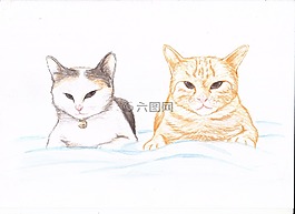 猫,绘画,姜