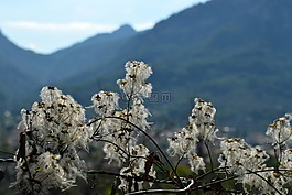 廠,山,性質(zhì)