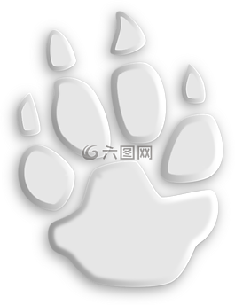 狼,爪子,腳印