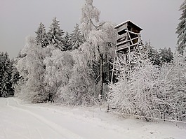 獵人,雪,森林