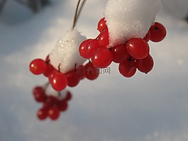 洛恩,性質(zhì),冬季