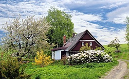 弹簧小屋,性质,花
