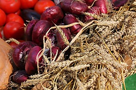 小麥,收獲,農(nóng)業(yè)