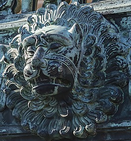 獅子,目標(biāo),門