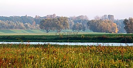 河,梅多斯,水