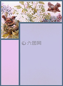 剪貼簿,紙,頁面