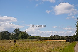 字段,藍(lán)藍(lán)的天空,云