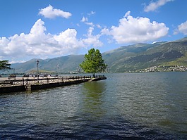 pamvotis湖,湖,树