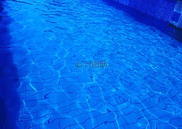 泳池,水,夏天