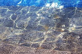 泳池,水,夏天