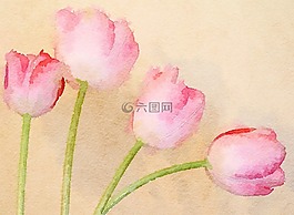 水彩,艺术,花