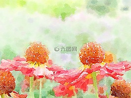 水彩,艺术,花