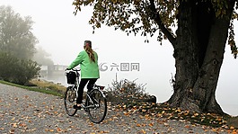 葉子,海灘,湖