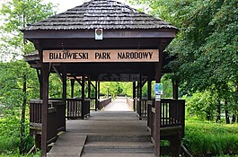 bia?owie?a,國家公園,入口