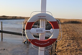 lifebelt,環(huán),成熟