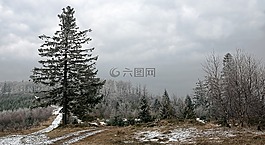 森林,方式,貝斯基德