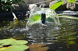水,噴泉,池塘