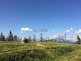 和平,浪漫,奧地利