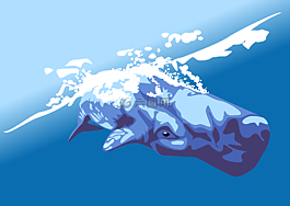 鯨魚,鍋鯨魚,cachalot