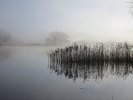 esthwaite,湖,區(qū)