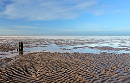 北海,瓦登海,海