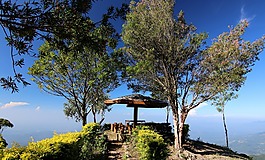 斯里蘭卡,景觀,展館