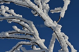 弗羅斯特,冬天,雪