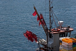 端口,travemünde,海事
