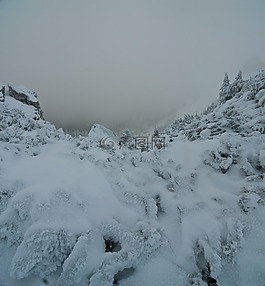 冬天,山,雪