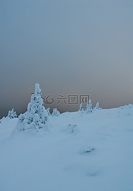冬天,山,雪