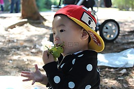 男孩,大自然,公園