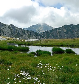 植物區(qū)系,山,湖