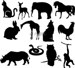 動(dòng)物,側(cè)影,狼
