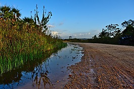 水坑里的水,自然,天空