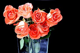 玫瑰,花束,鮮花