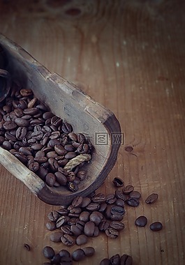 咖啡,咖啡豆,烤