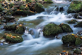 badínsky森林,山,水